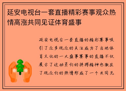 延安电视台一套直播精彩赛事观众热情高涨共同见证体育盛事